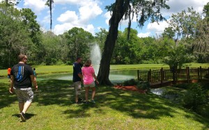 picnic-2016-08