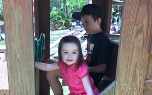 picnic-2016-11